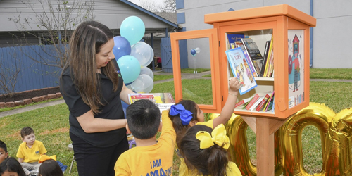 Picture of a Little Free Library